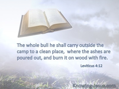 The whole bull he shall carry outside the camp to a clean place,  where the ashes are poured out, and burn it on wood with fire.